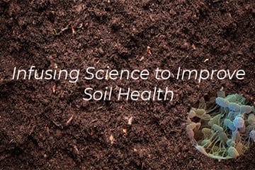 Unleashing the Power of Soil Microorganisms